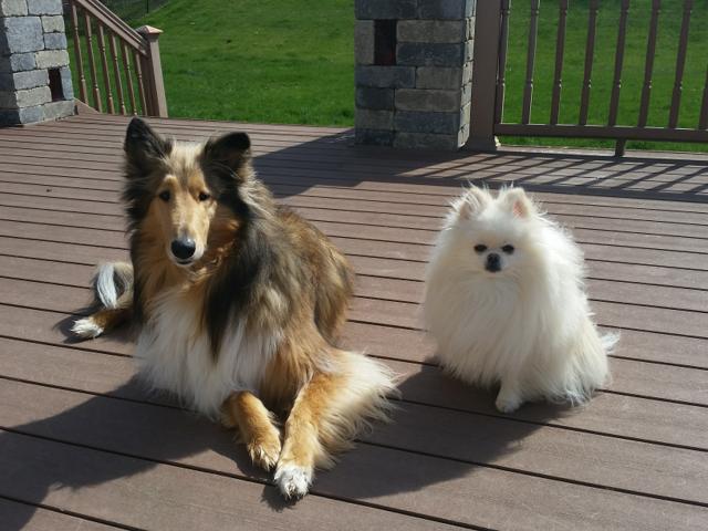 Selene and McCloud