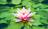 thumbnail of A water lily
