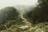 thumbnail of Rough road surround trees with fog