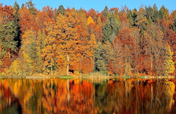 Lake with trees, fall colors in autumn